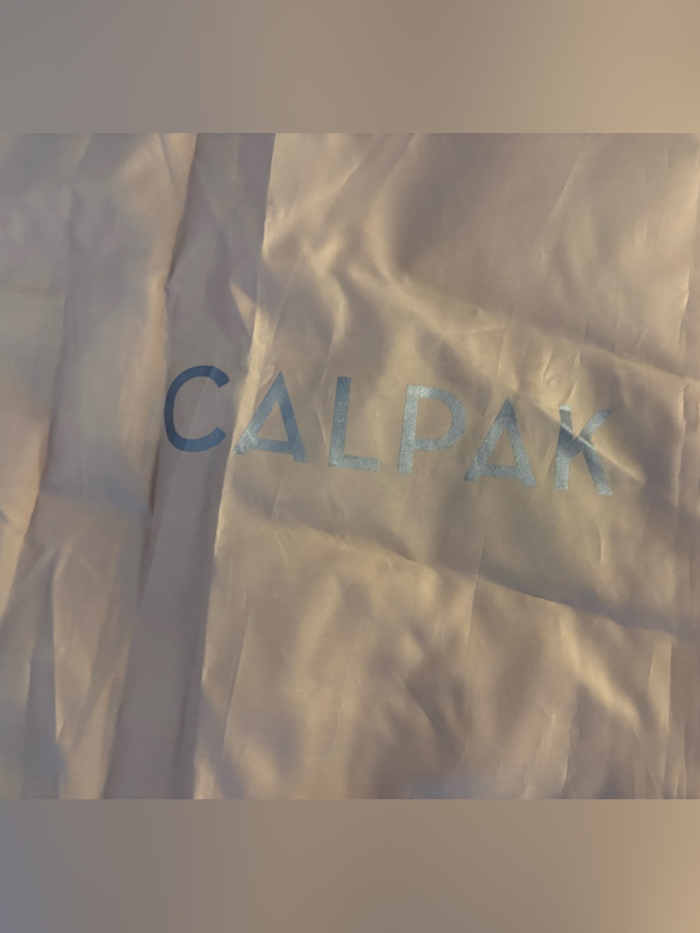Calpak | Luggage Protector - Picture 2 of 4